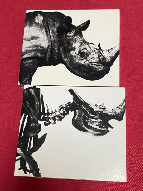 送料無料 Mr Children Best Cd2枚セット タレントグッズ 新品 中古のオークション モバオク No 送料無料 Mr Children Best Cd2枚セット タレントグッズ 新品 中古のオークション モバオク No